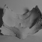 self, the negative
