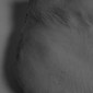 self, positive form (close up)