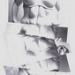 collage 8