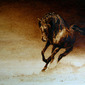 A Horse... Off Course