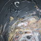 Andrea Allegrone