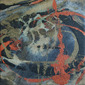 Andrea Allegrone