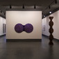 Installation View at Winsor Gallery ,Vancouver BC