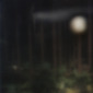 A night beyond