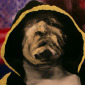 Boxer (Arreola)