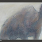 Camel 2