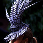 ascot hats