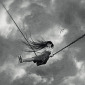 Поднебесность (The skies)