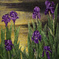 flowers on water