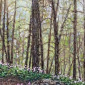 spring forest