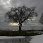 Winter's Dark