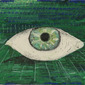 eye wonder