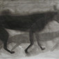 Yun Xu