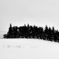 Winter Line