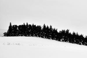 Alessandro Passerini
