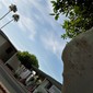 Two Palms