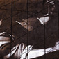 The weight of injustice Piero Toresella