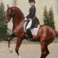 Dressage