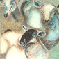 Ewe three