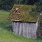 StadtLandFlucht