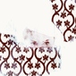 domestica