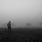 Walking through the park on a misty morning.