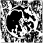 Night Maze