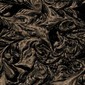 Decayed Wood