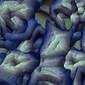 Blue Space
