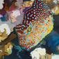 Now we're very far below, the exotic fish are all aglow