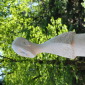 white bottleman