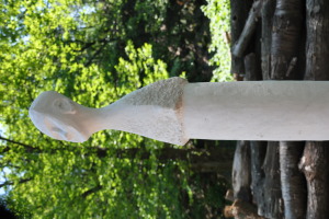 Floryamo Urs