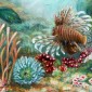 under the sea