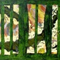 Sequences 
