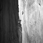 Untitled 7