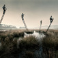 Laurence Winram