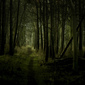 Laurence Winram