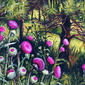 Thistle