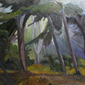 Sutro Bath Pine Trees