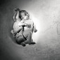 12 Naked Men - "Born" (Edition of 25)