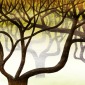The Spring Would Never Hurt Trees
