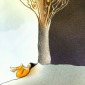 Morning Apricot