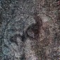 Fifth Dimension