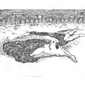 Swimming Rabbit