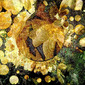 garden transitions 4