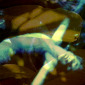sleeping pond dancer