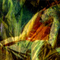 dancer in the reeds