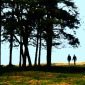 walking on the common