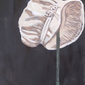 The Bonnet