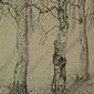 river side trees